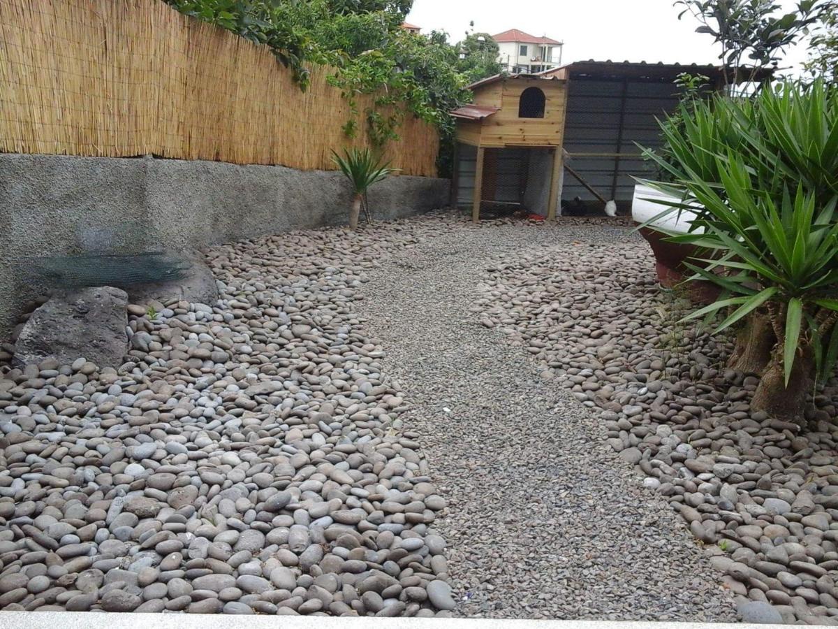 Cottage Quinze, Contemporary Designed Cottage With Swimming Pool Ponta Delgada  Eksteriør billede