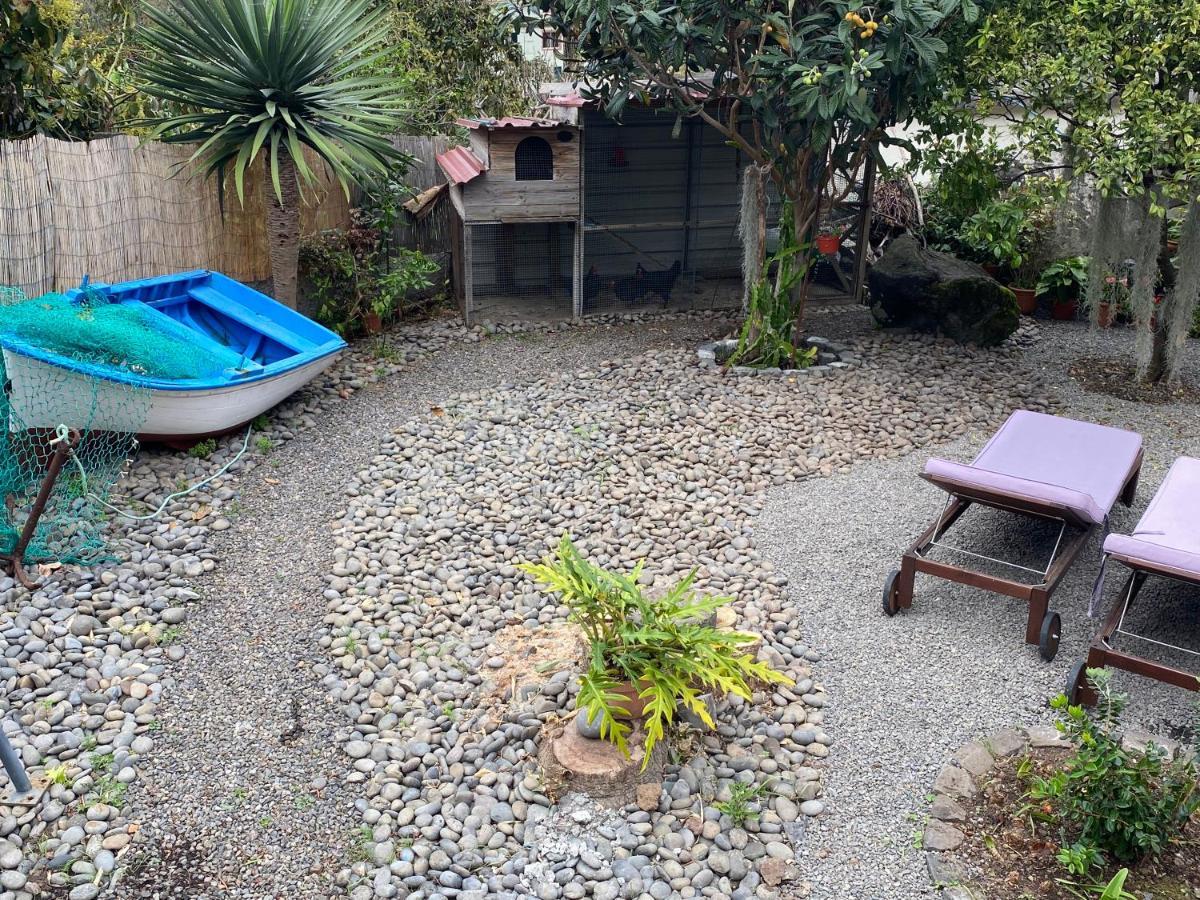 Cottage Quinze, Contemporary Designed Cottage With Swimming Pool Ponta Delgada  Eksteriør billede